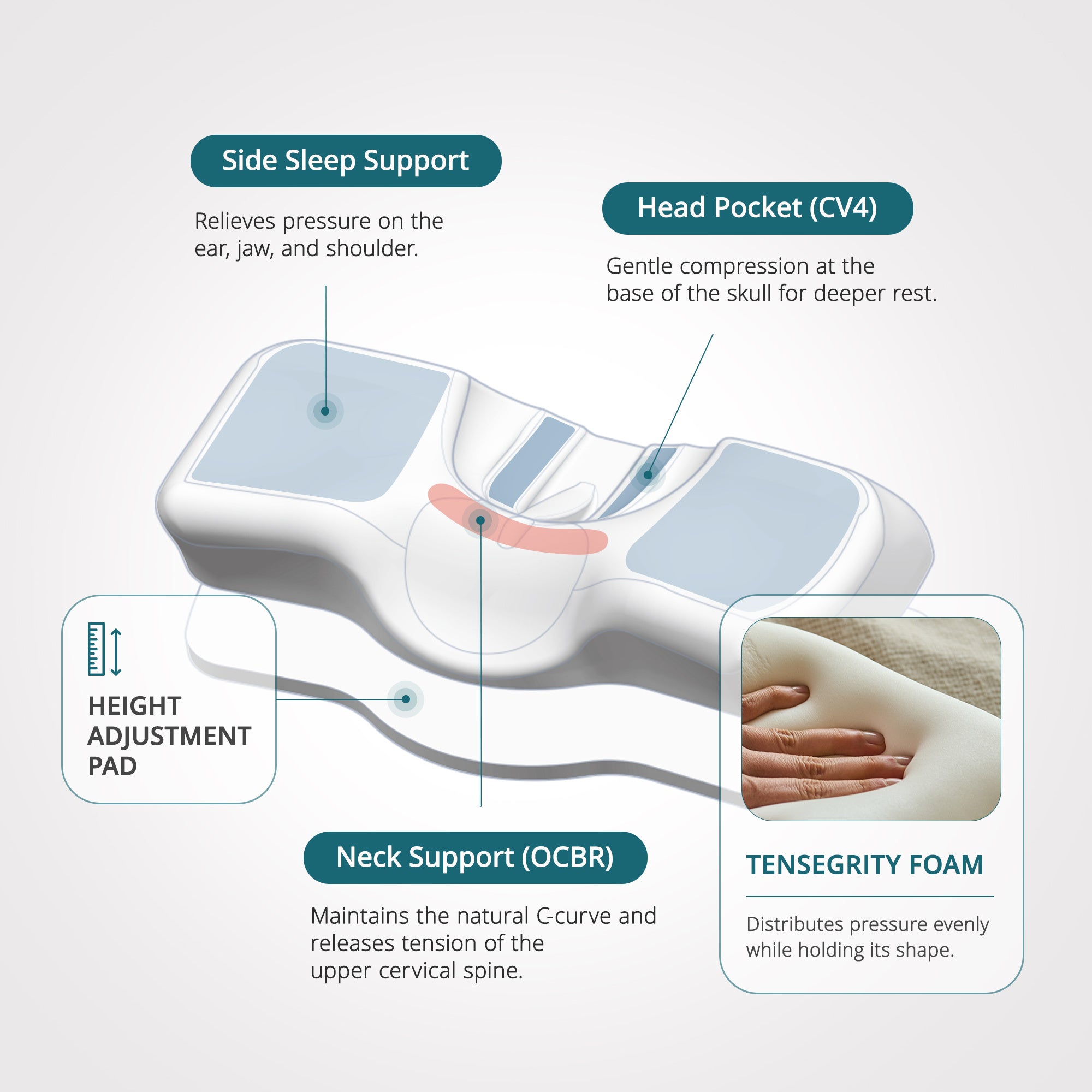 Imagen de diapositiva