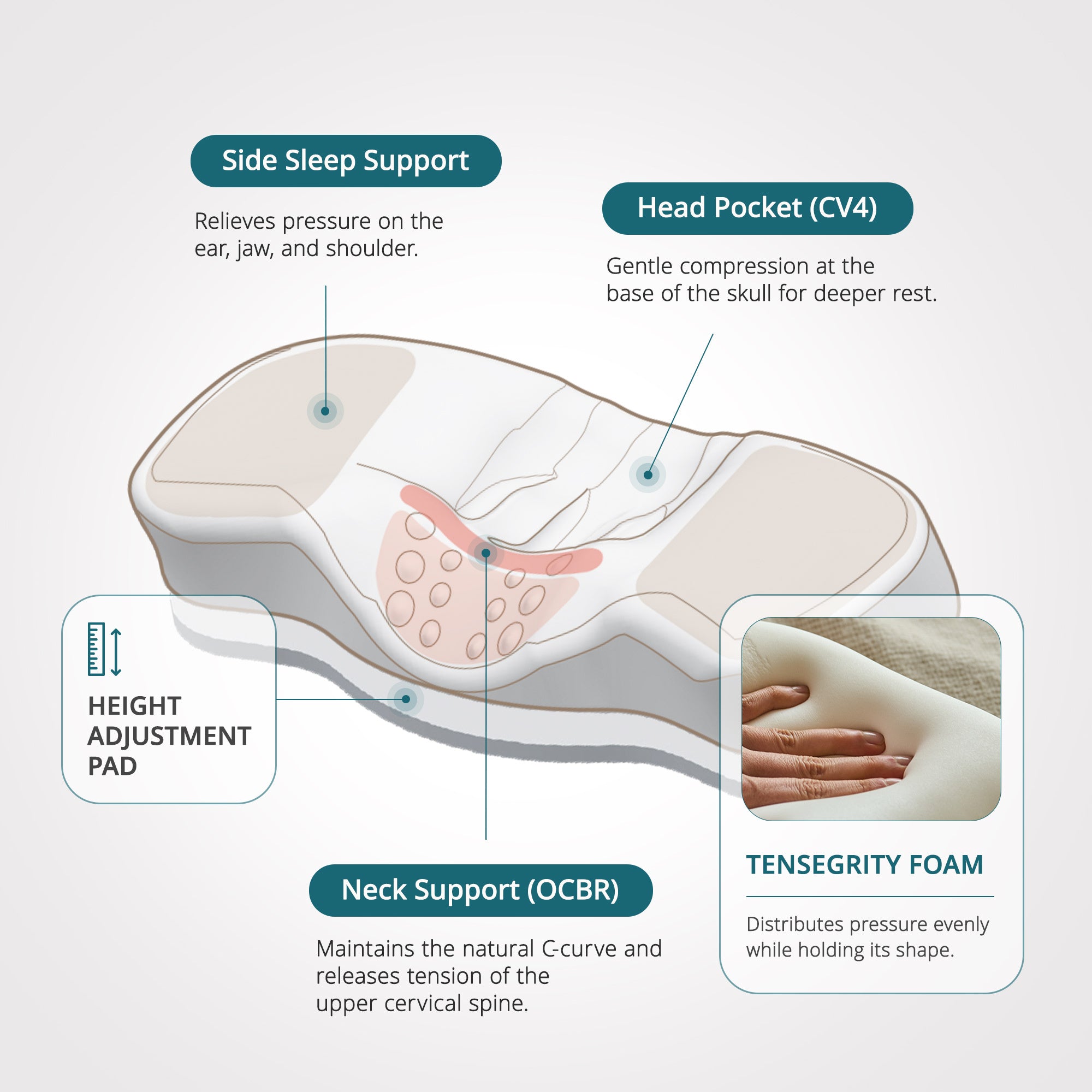 Imagen de diapositiva