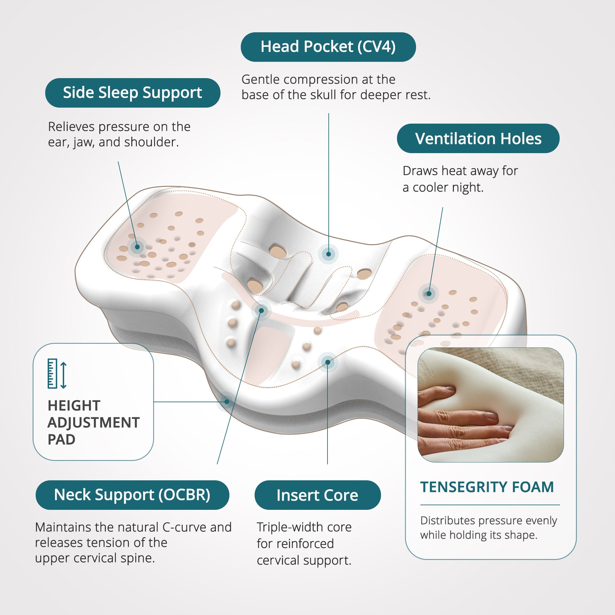 Imagen de diapositiva