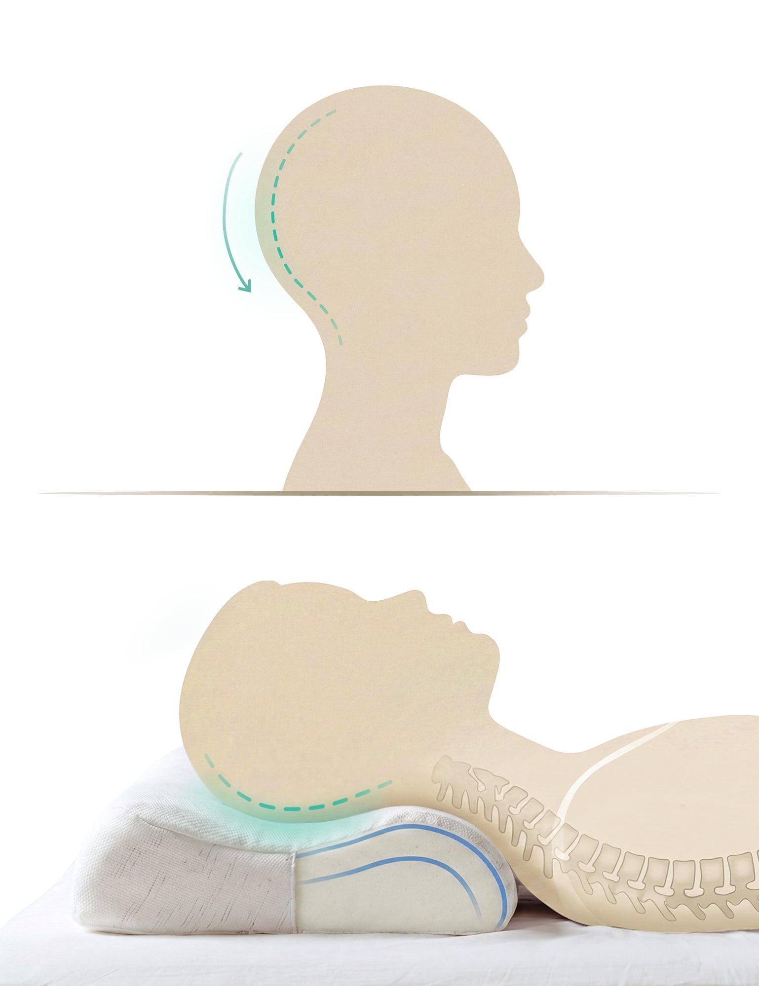 Imagen de diapositiva